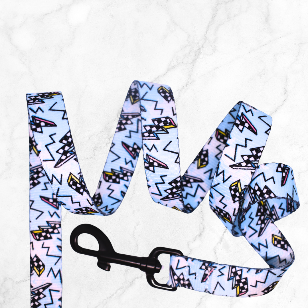 Bolted Blue Leash
