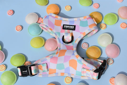 Sherbet Dream - Medium - pilling