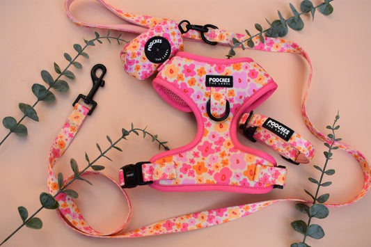 Blossom Burst 2.0 Set