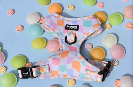 Sherbet Dream - Medium - mark