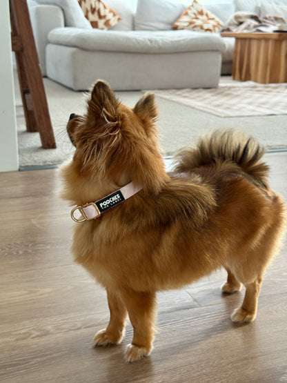 True Love Collar